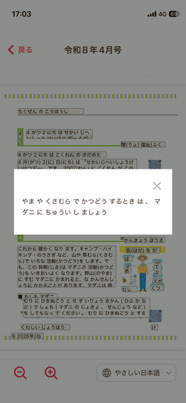多言語対応画面（やさしい日本語）