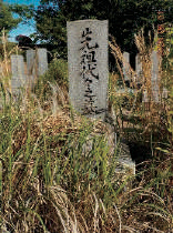雑草だらけのお墓