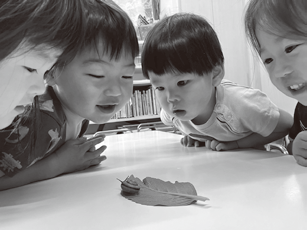 カタツムリを見つめる子どもたち