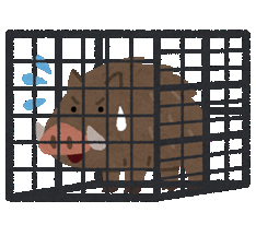 狩猟免許のイラスト（檻に入ったイノシシ）