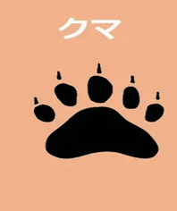 クマ