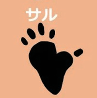 サル
