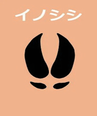 イノシシ