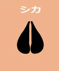 シカ
