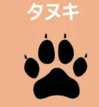 タヌキ