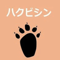 ハクビシン