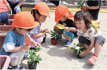 さくらんぼ組（2 歳児）もお花を植えたよ