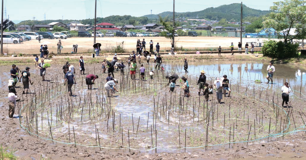 参加者全員での田んぼアートの田植え