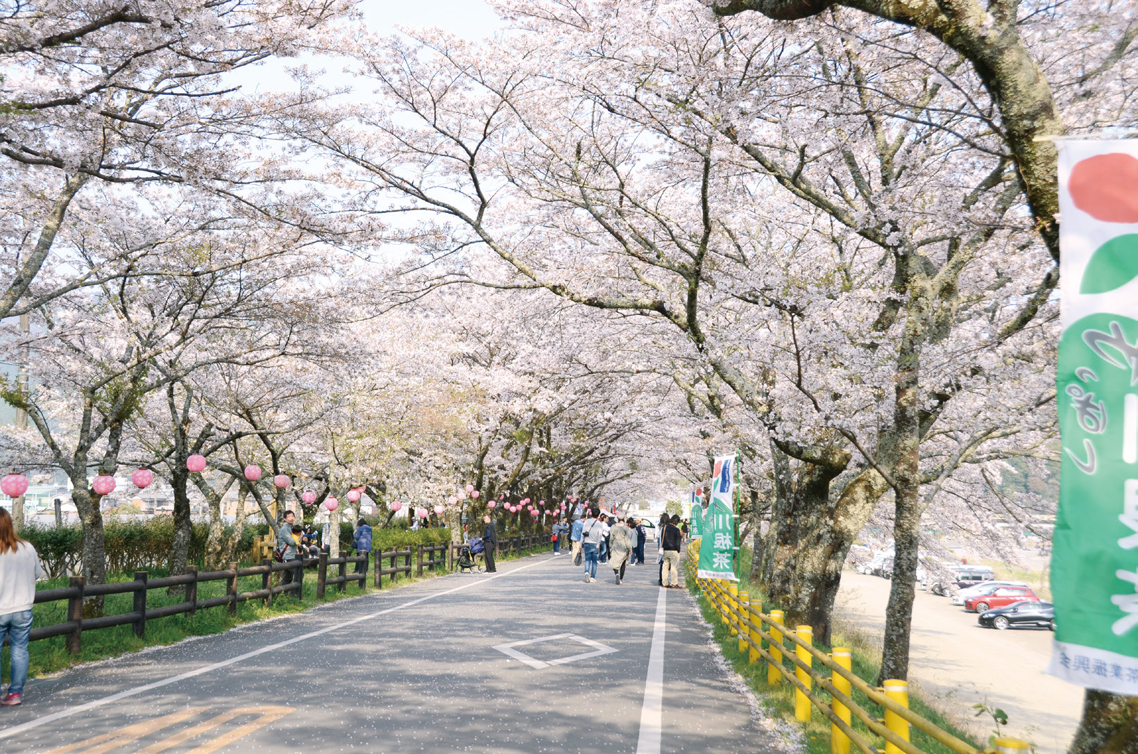 かわね桜まつり（島田市）