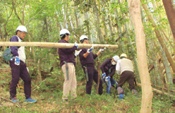 竹林整備の様子